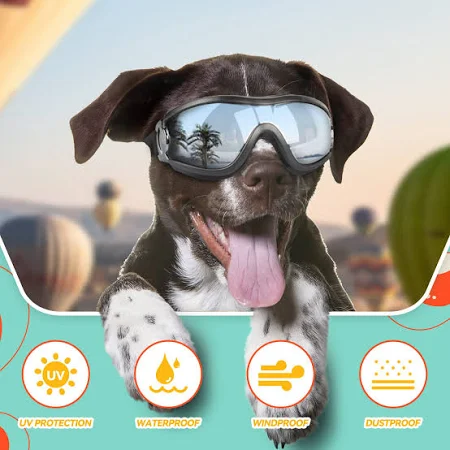 dog sunglasses